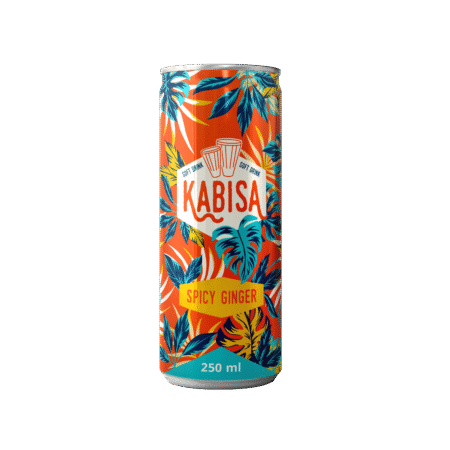 KABISA Jook SPICY GINGER 250ML